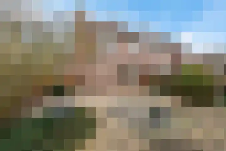 Lange Weide 12 Lith thumbnail 34