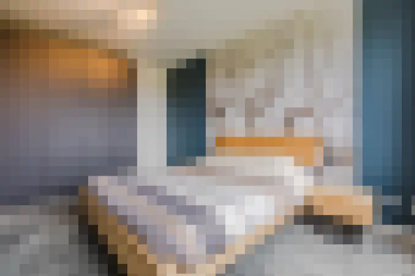 Lange Weide 137 Breda thumbnail 7