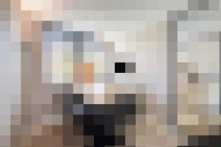 Lange Weide 159 Breda thumbnail 13