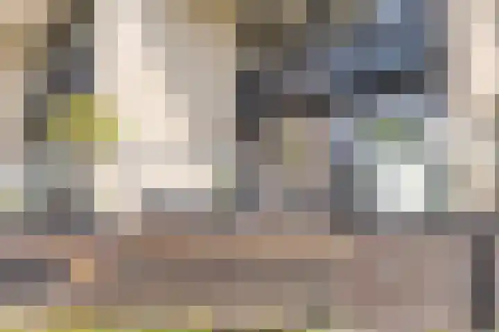 Lange Weide 159 Breda thumbnail 28
