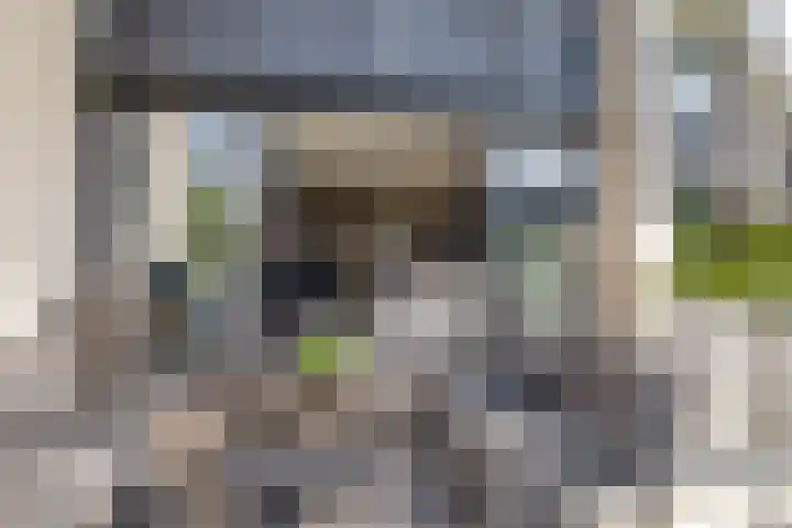 Lange Weide 159 Breda thumbnail 30