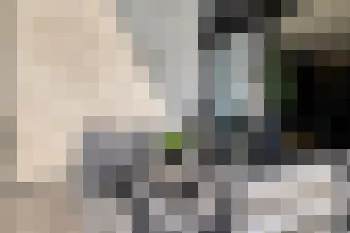 Lange Weide 159 Breda thumbnail 35