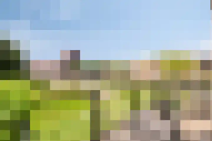 Lange Weide 159 Breda thumbnail 4