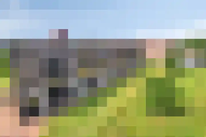 Lange Weide 159 Breda thumbnail 47