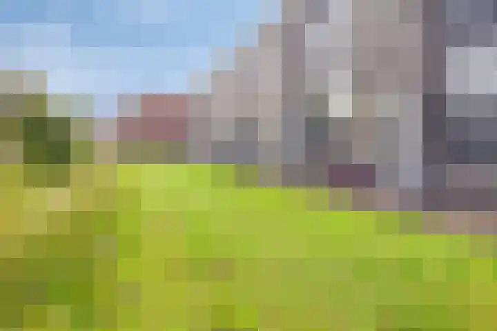 Lange Weide 159 Breda thumbnail 53