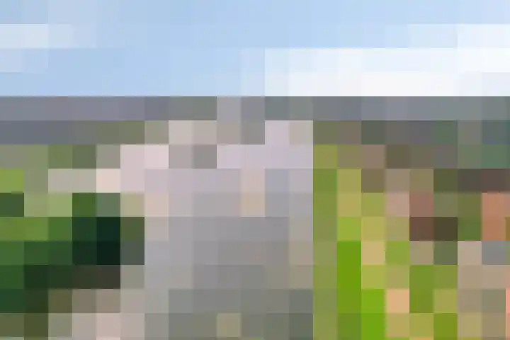 Lange Weide 159 Breda thumbnail 56