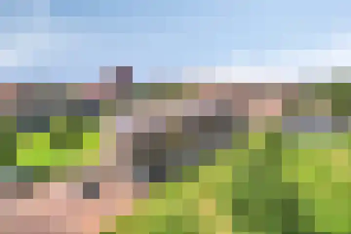Lange Weide 159 Breda thumbnail 6