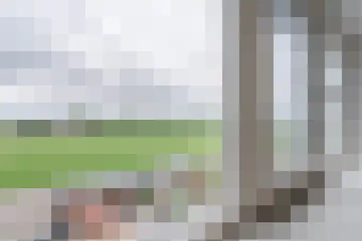 Lange Weide 17 Oudendijk thumbnail 30