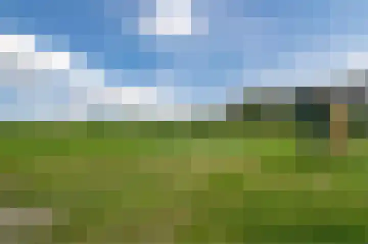 Lange Weide 17 Oudendijk thumbnail 49