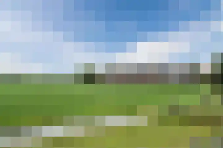 Lange Weide 17 Oudendijk thumbnail 51