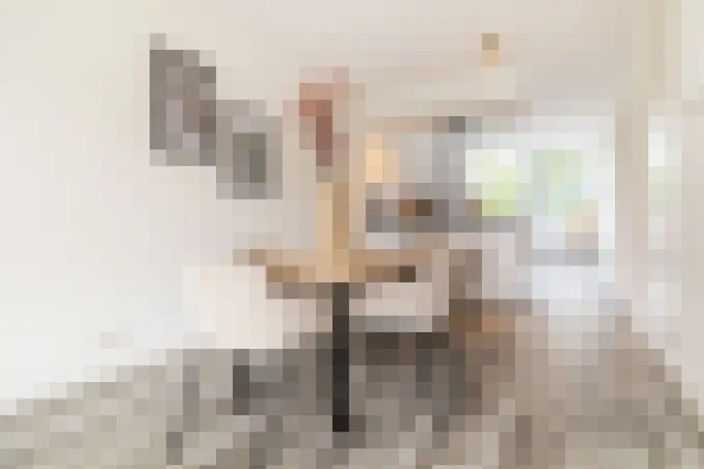Lange Weide 171 Breda thumbnail 16