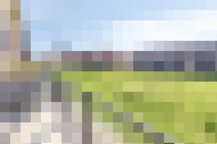 Lange Weide 171 Breda thumbnail 26