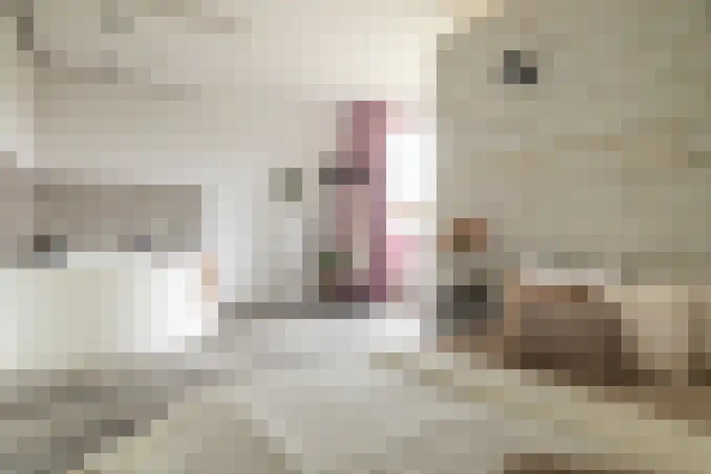 Lange Weide 171 Breda thumbnail 27