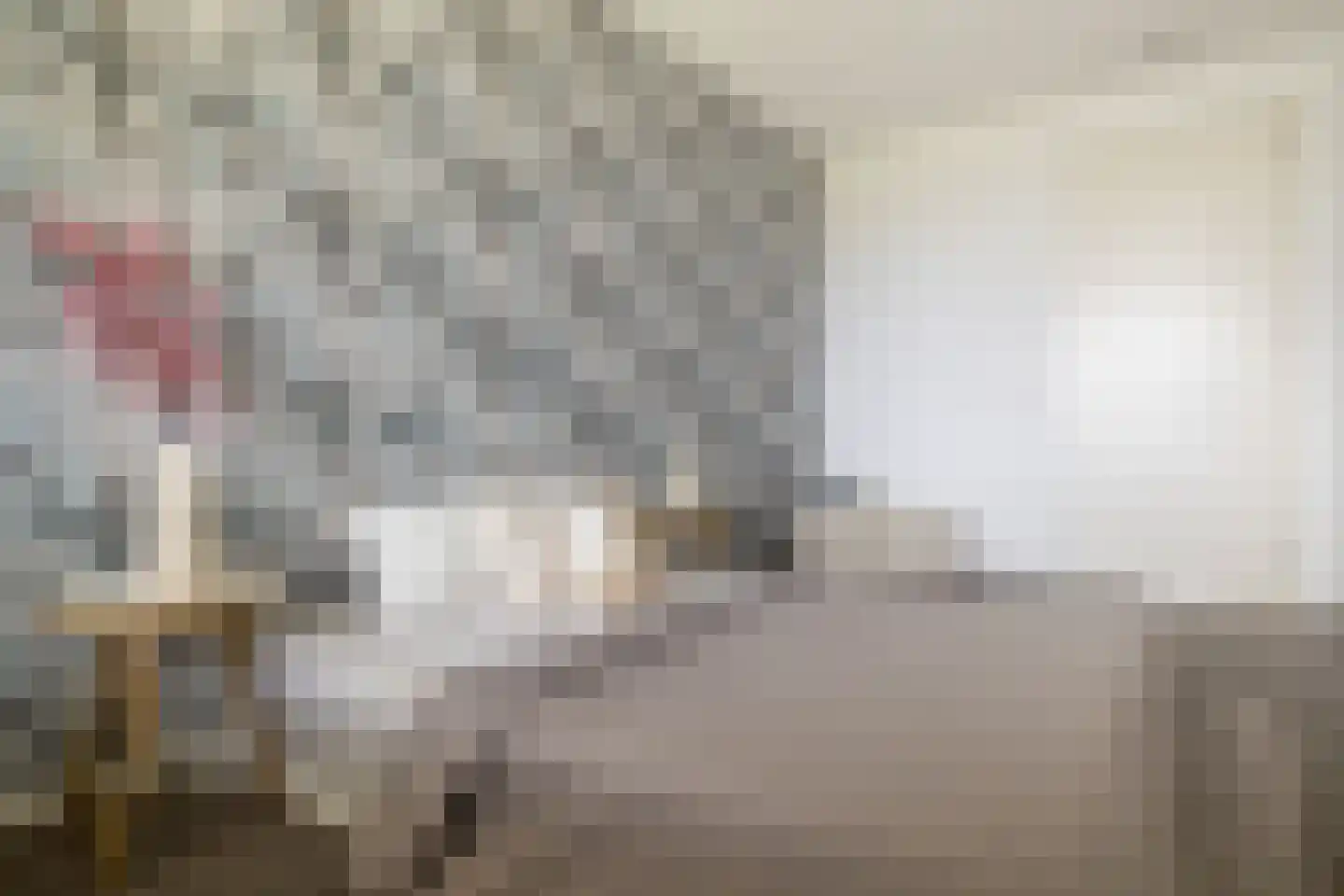 Lange Weide 171 Breda thumbnail 32