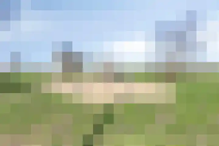 Lange Weide 171 Breda thumbnail 47