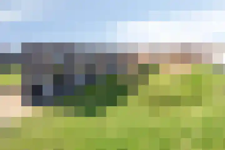 Lange Weide 171 Breda thumbnail 6