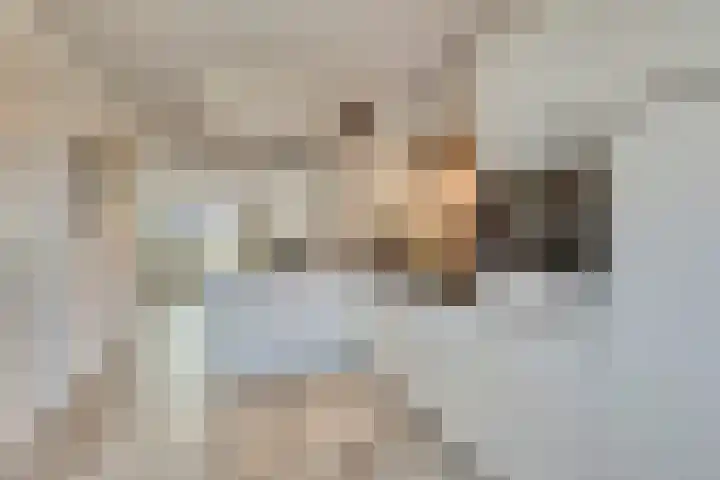 Lange Weide 171 Breda thumbnail 9