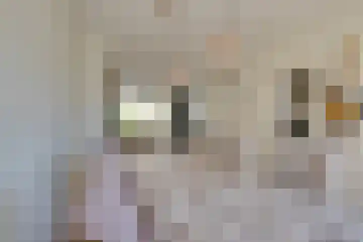 Lange Weide 20 Oudendijk thumbnail 16