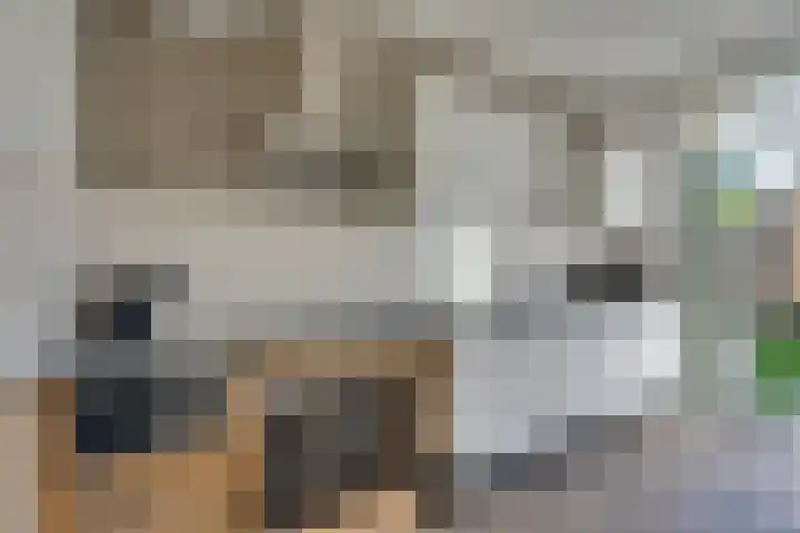 Lange Weide 20 Oudendijk thumbnail 17