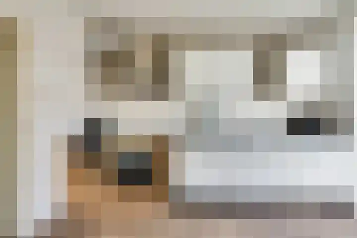 Lange Weide 20 Oudendijk thumbnail 20