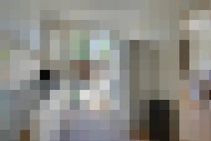 Lange Weide 20 Oudendijk thumbnail 21