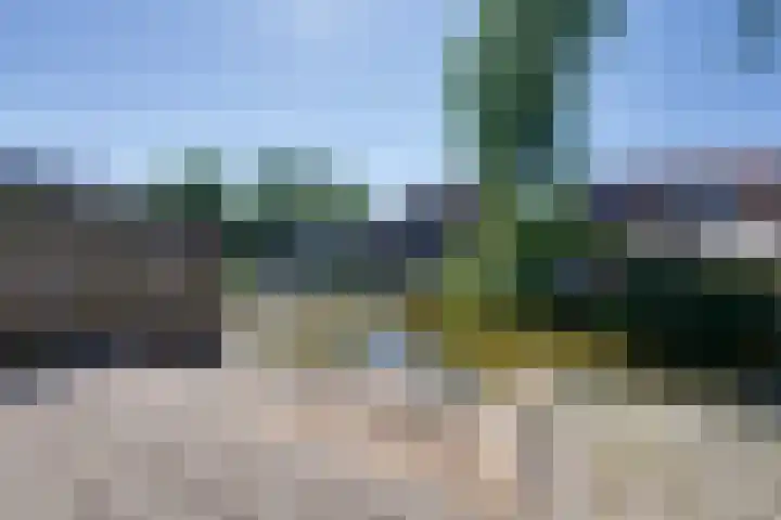 Lange Weide 20 Oudendijk thumbnail 27