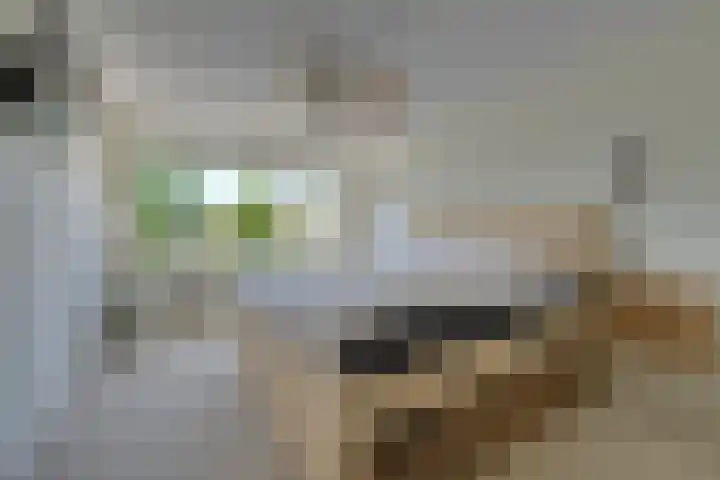 Lange Weide 20 Oudendijk thumbnail 30