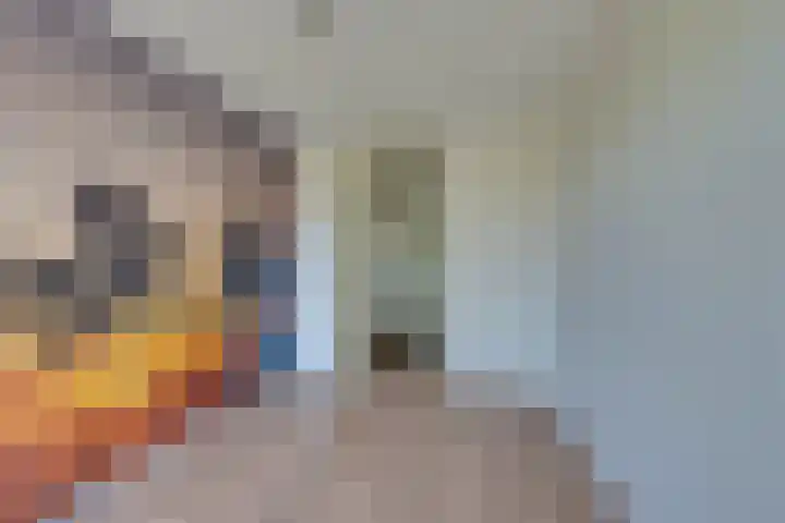 Lange Weide 20 Oudendijk thumbnail 40