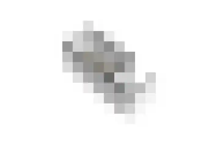 Lange Weide 20 Oudendijk thumbnail 54