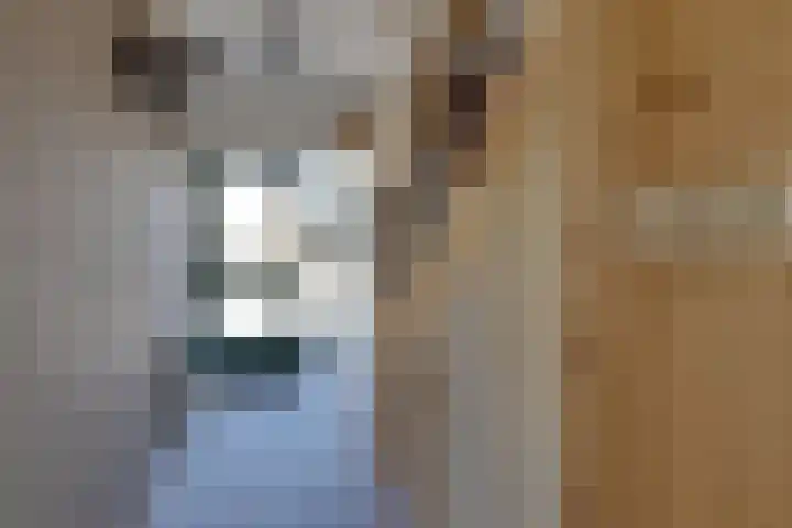Lange Weide 20 Oudendijk thumbnail 7