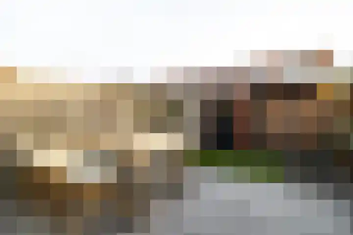 Lange Weide 210 Breda thumbnail 37