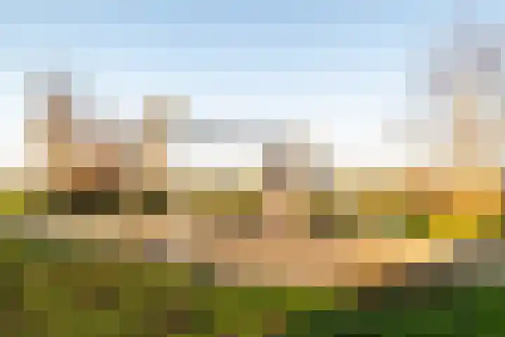 Lange Weide 210 Breda thumbnail 41