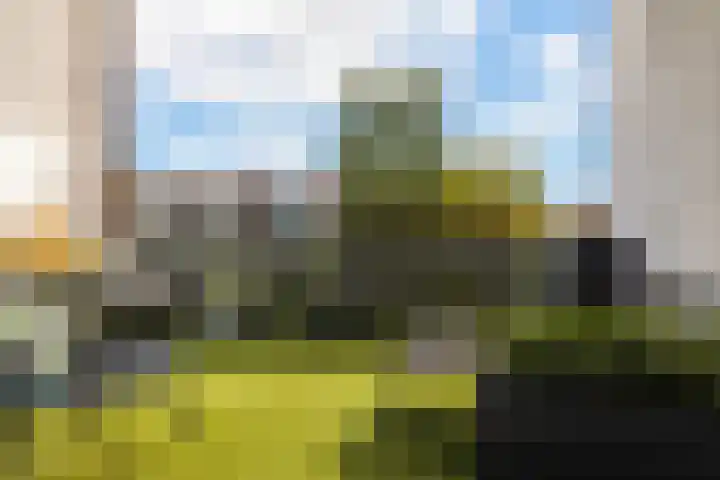 Lange Weide 215 Breda thumbnail 17
