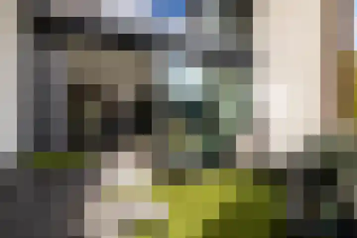 Lange Weide 215 Breda thumbnail 18