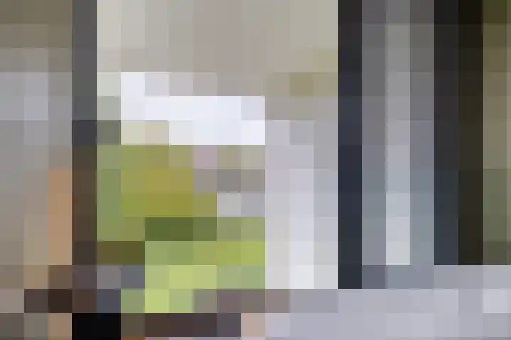 Lange Weide 215 Breda thumbnail 22
