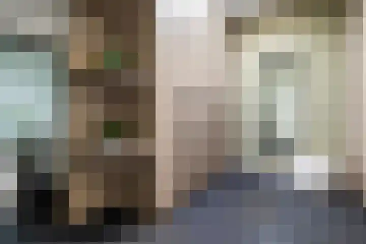 Lange Weide 215 Breda thumbnail 23