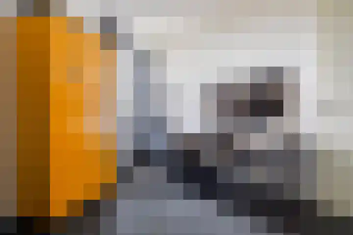 Lange Weide 215 Breda thumbnail 30