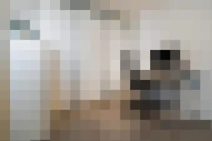 Lange Weide 215 Breda thumbnail 36