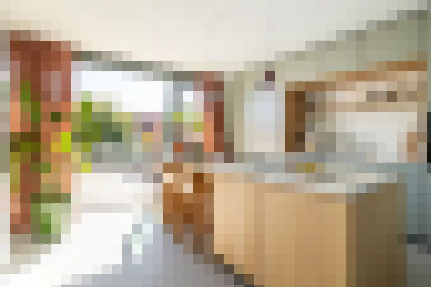 Lange Weide 218 Breda thumbnail 19