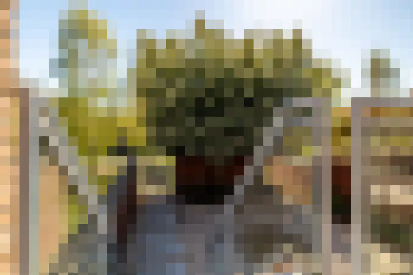 Lange Weide 218 Breda thumbnail 51