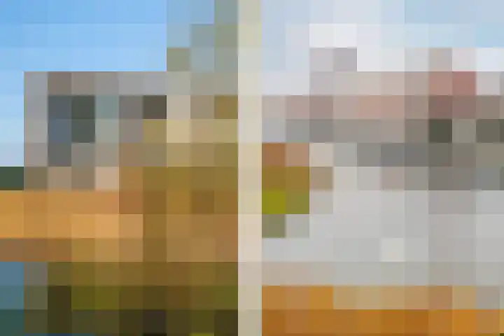 Lange Weide 219 Breda thumbnail 45