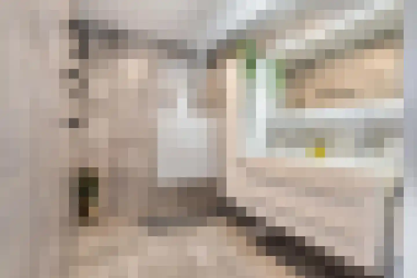 Lange Weide 39 Breda thumbnail 35