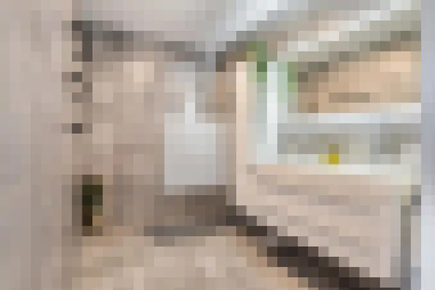 Lange Weide 39 Breda thumbnail 4