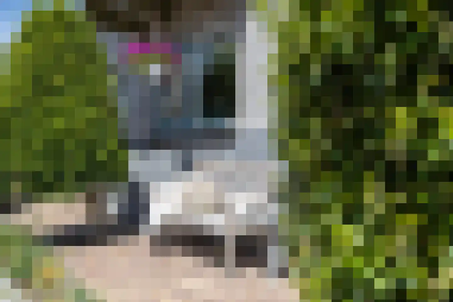 Lange Weide 41 A Oudendijk thumbnail 11
