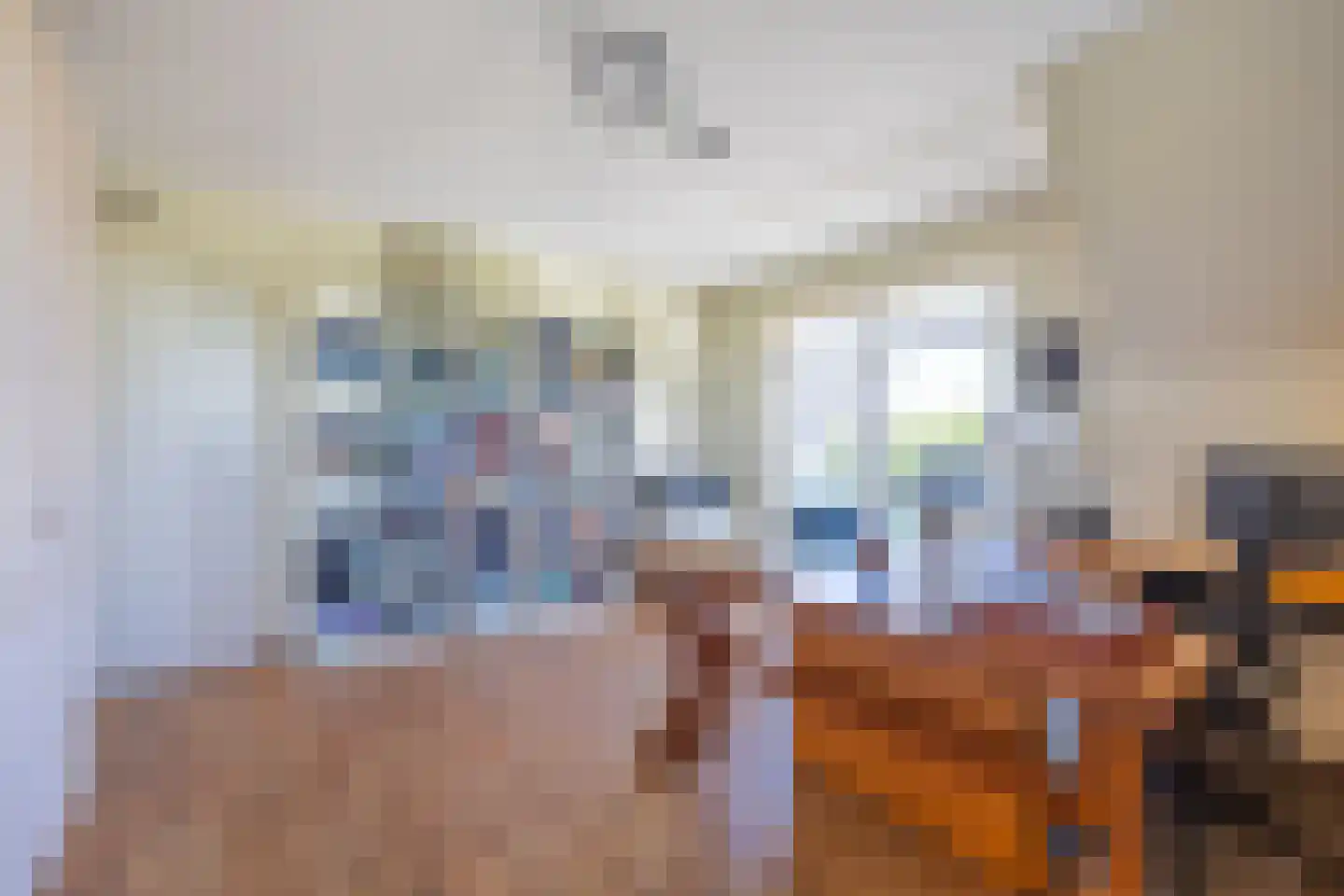 Lange Weide 41 A Oudendijk thumbnail 30