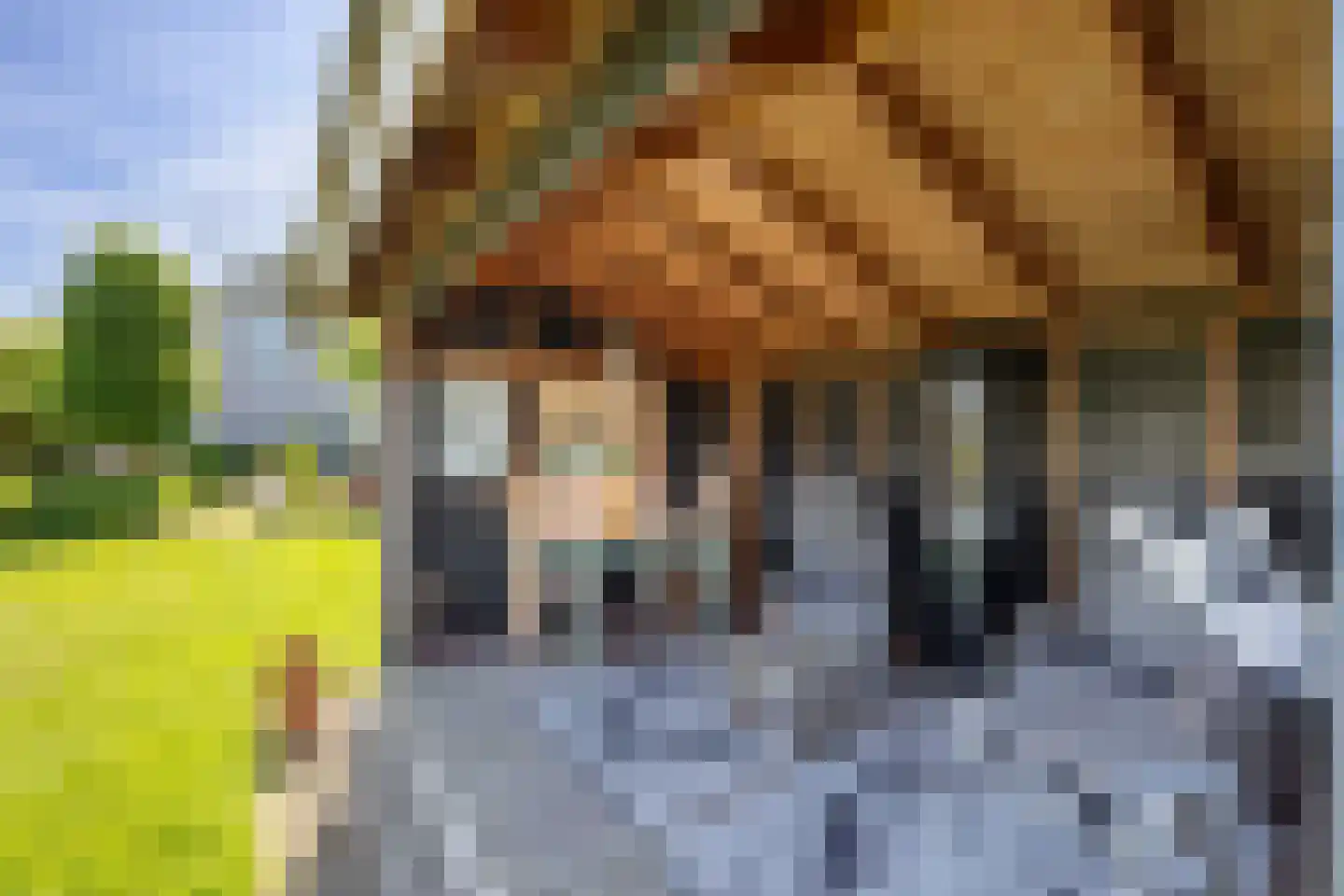 Lange Weide 41 A Oudendijk thumbnail 43