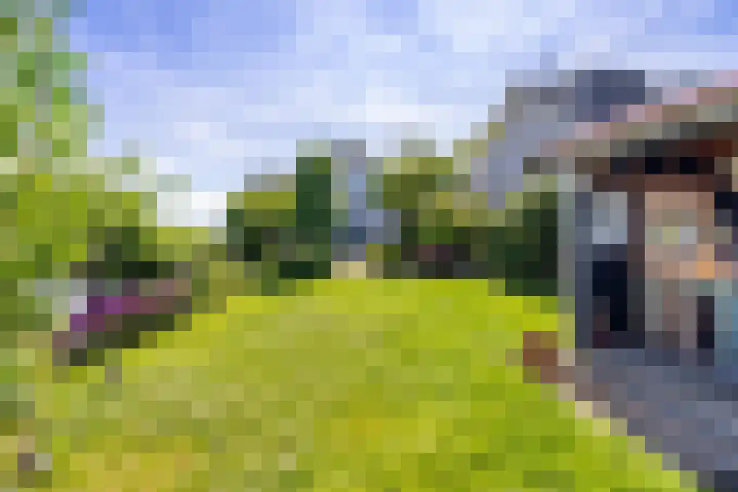 Lange Weide 41 A Oudendijk thumbnail 44