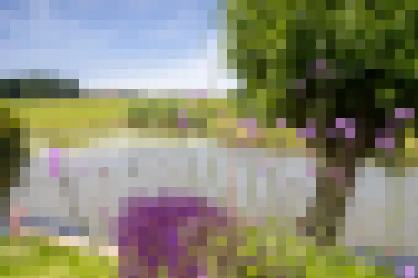 Lange Weide 41 A Oudendijk thumbnail 45