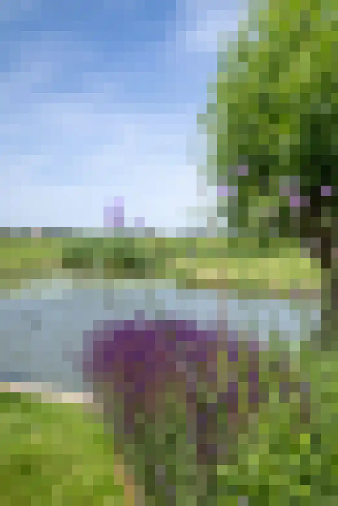 Lange Weide 41 A Oudendijk thumbnail 46