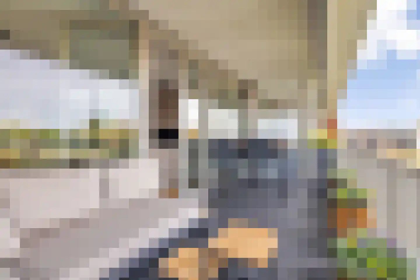 Lange Weide 43 Breda thumbnail 25